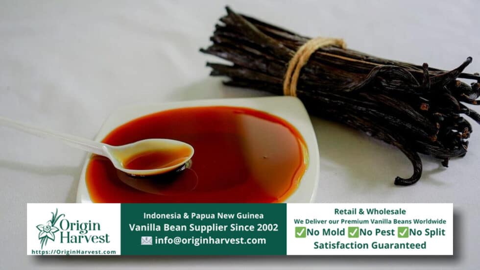 Vanilla Bean History of Precious Orchid Family Members Origin Harvest