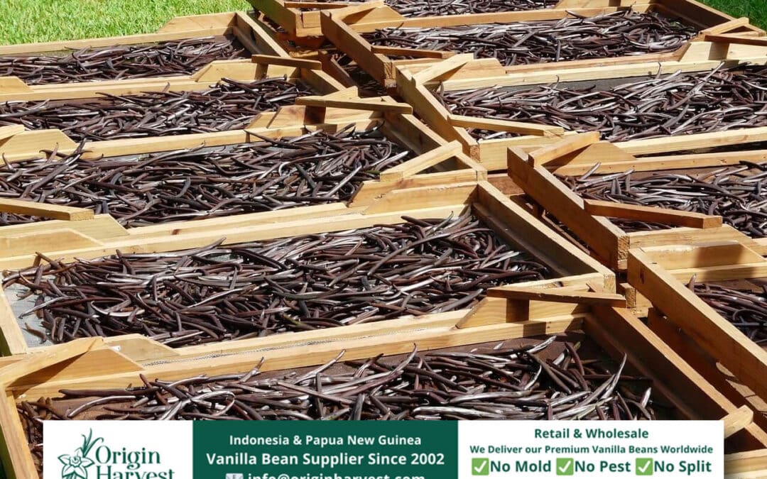 Various Uses of Vanilla Bean Pods for Sustainable Living