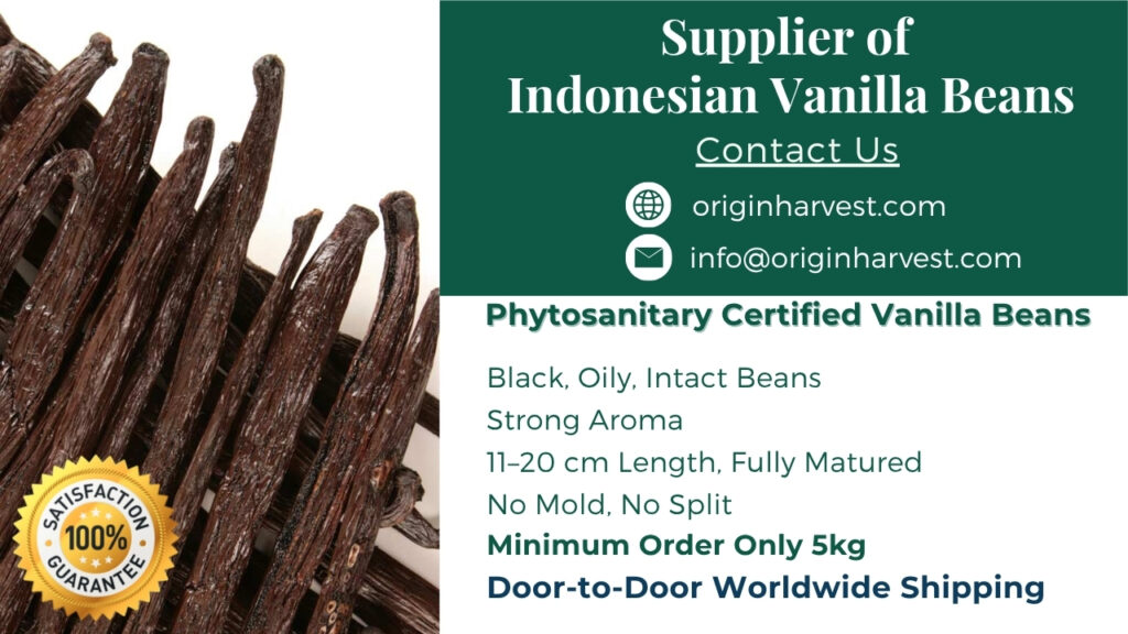 Indonesia Vanilla Bean Supplier Contact Information