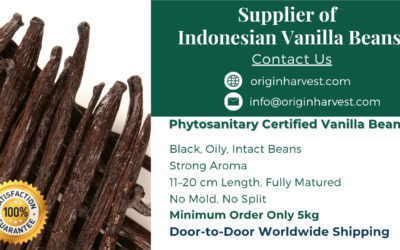 Tahitian Vanilla Bean Supplier