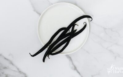 Vanilla Bean in Spain: Perfecting Your Sweet and Savory Dishes