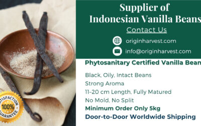 Amazing and Very Useful Vanilla Bean Crafts to Try at Home