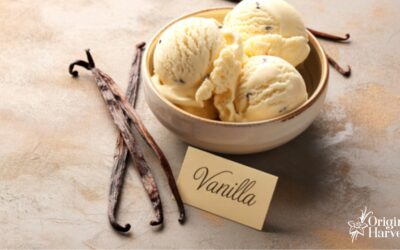 Approach the Business Opportunity of Vanilla Bean in France